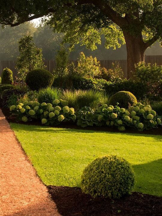 Layered garden beds of hydrangea and hosta beside a manicured lawn