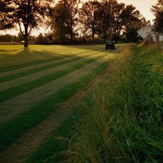 Ride-on mower cutting stripes across a lawn